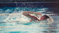 plavání swimming